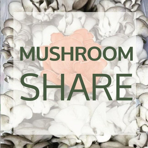 2024 R&R Cultivation Mushroom Share Add-On