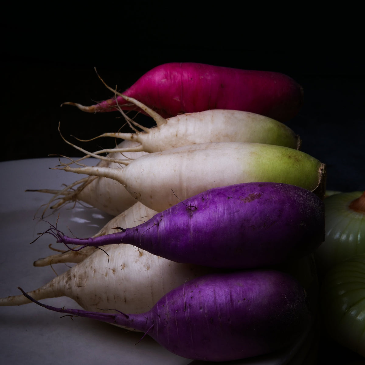 Radish - Daikon