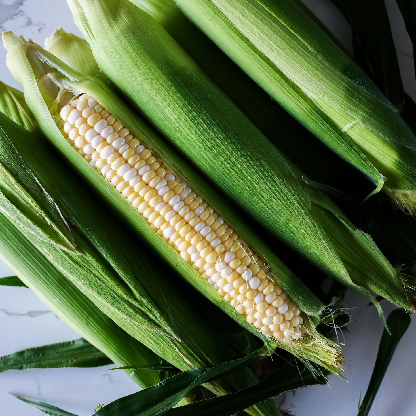 Sweet Corn