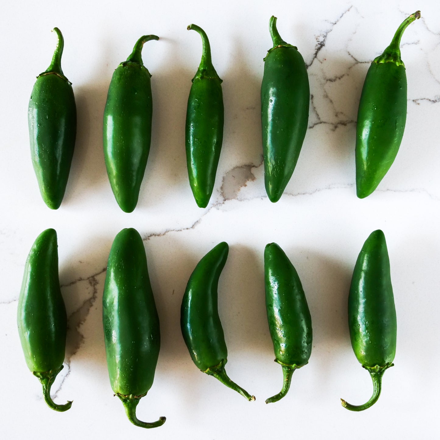 Pepper - Jalapeno