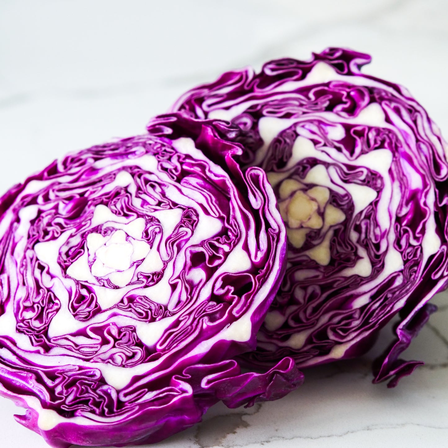 Cabbage - Red