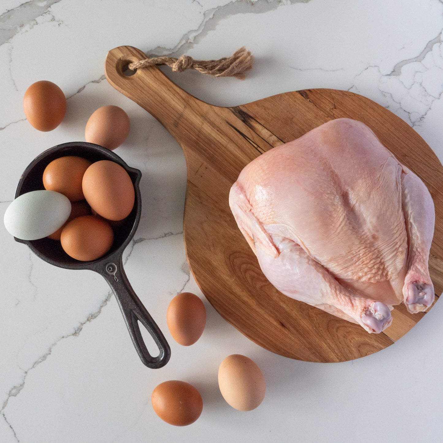 *The Chicken and The Egg* - SPECIAL