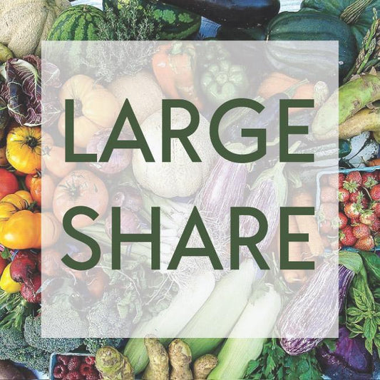2026 Large Summer CSA Share