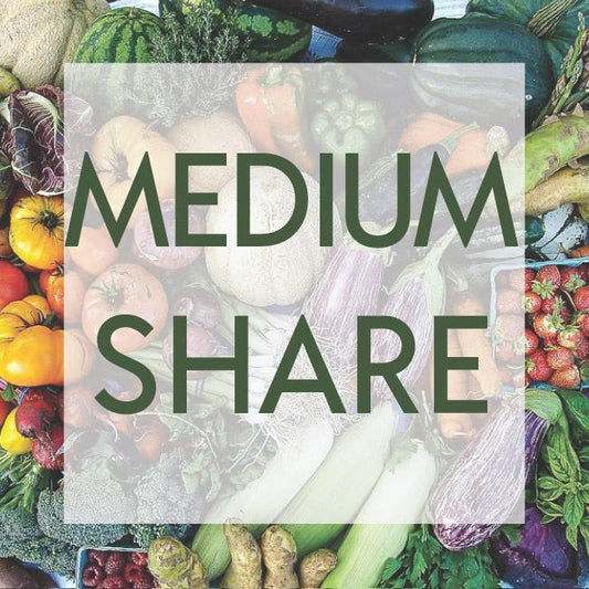 2026 Medium Summer CSA Share