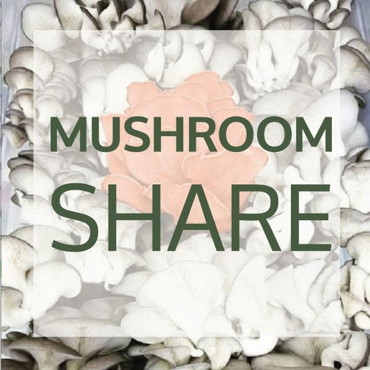 2026 R&R Cultivation Mushroom CSA Share Add-On