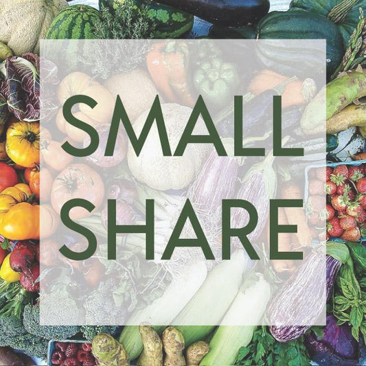 2026 Small Summer CSA Share