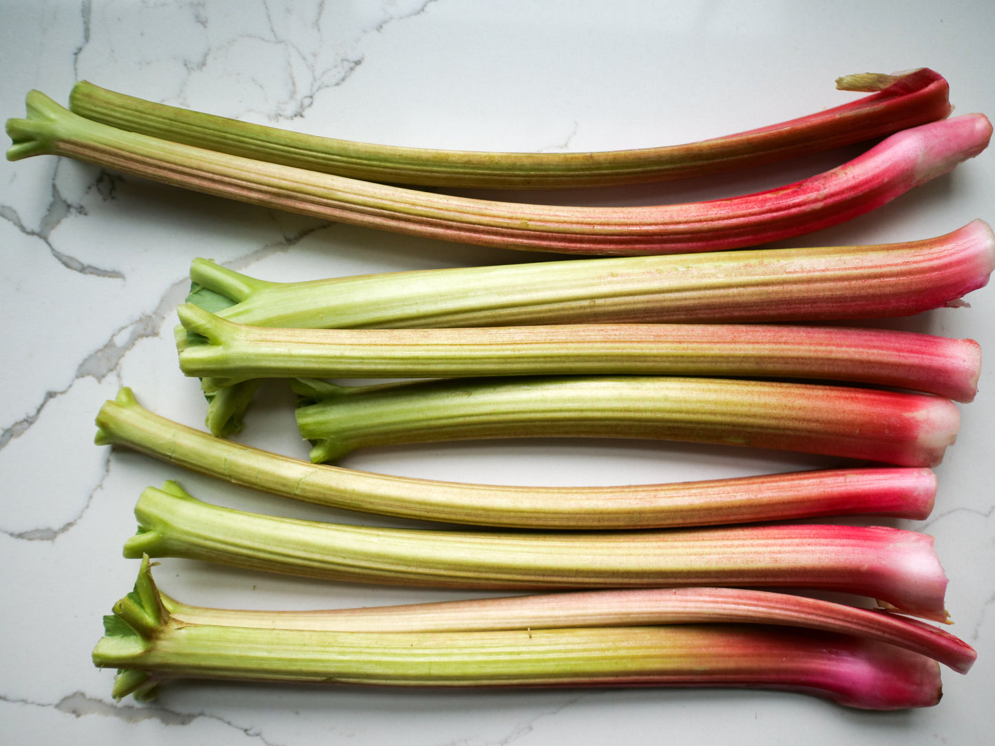 Rhubarb