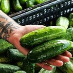 Cucumber - Slicing