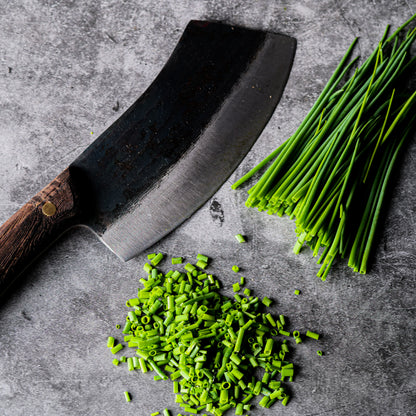 Herb - Chives