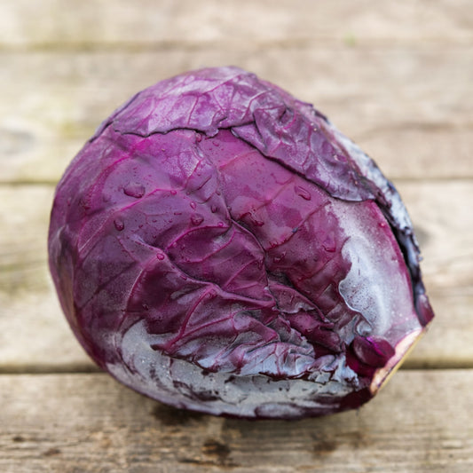 Cabbage - Red