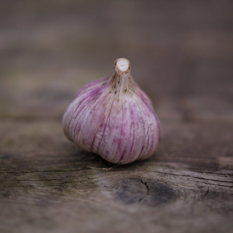 Garlic - Leah