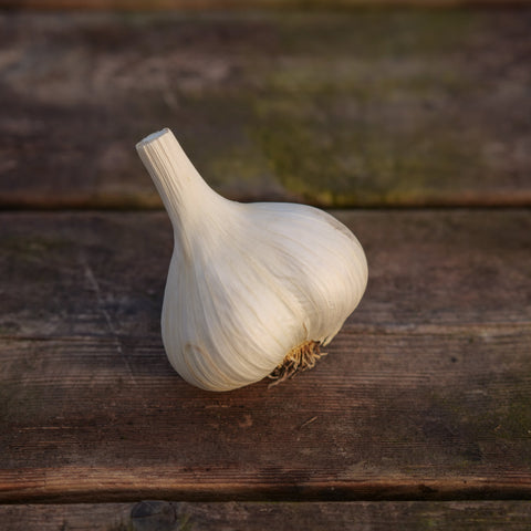 Garlic - Georgian Crystal