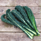 Kale - Toscano