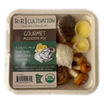 R&R Cultivation Gourmet Mushroom Mix