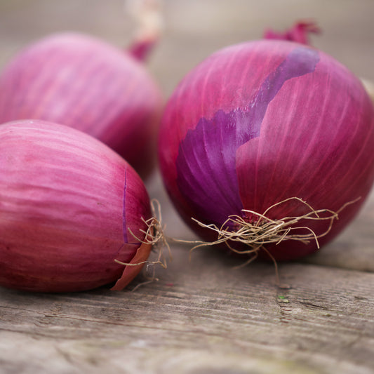 Onion - Red
