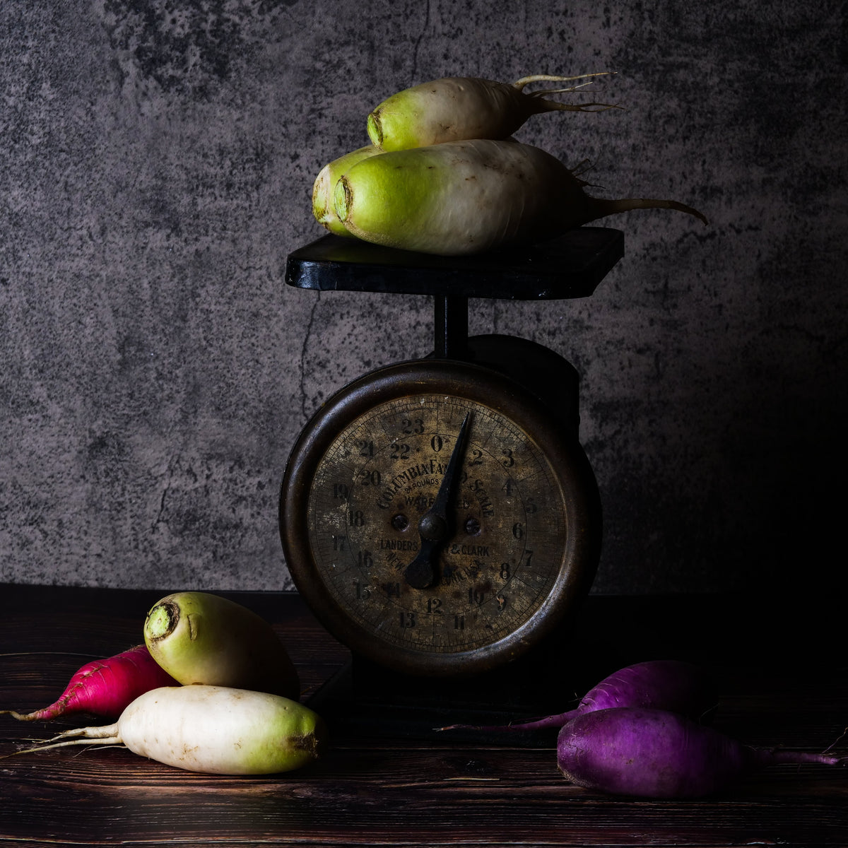 Radish - Daikon