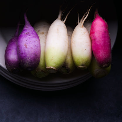 Radish - Daikon