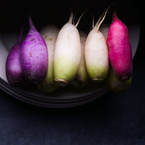 Radish - Daikon