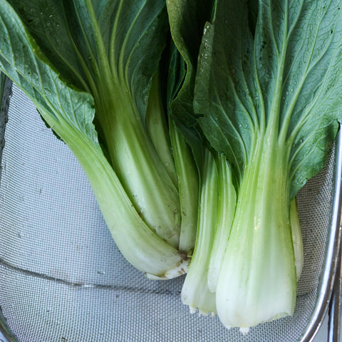 Bok Choy - Black Summer