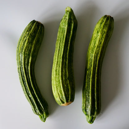 Zucchini - Costata Romanesco