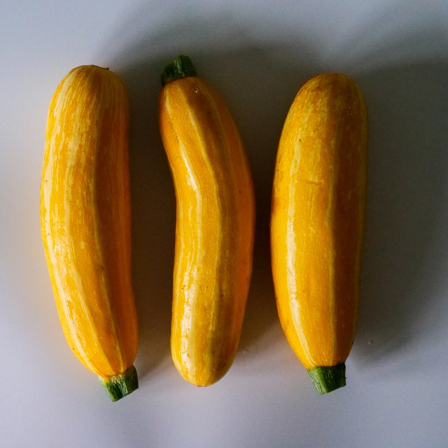 Zucchini - Yellow