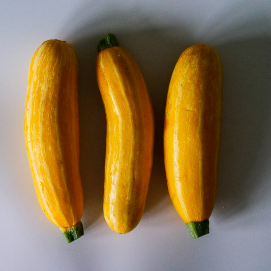 Zucchini - Yellow