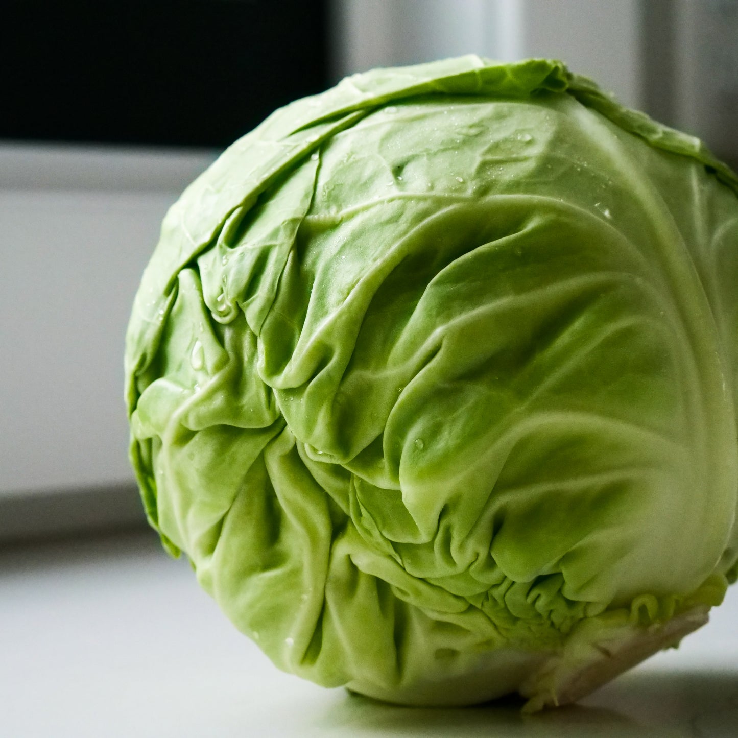 Cabbage - Green