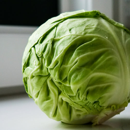 Cabbage - Green