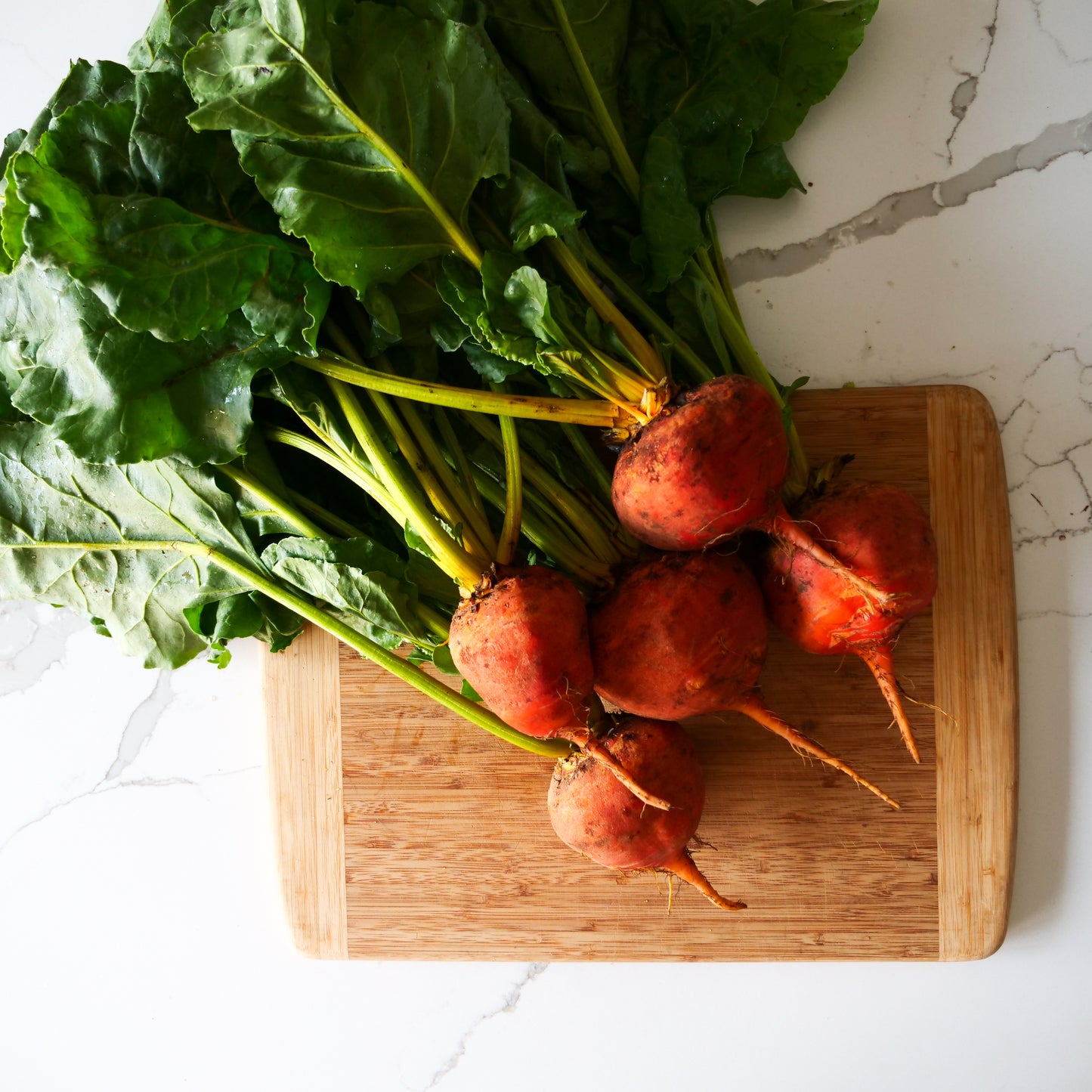 Beets - Golden