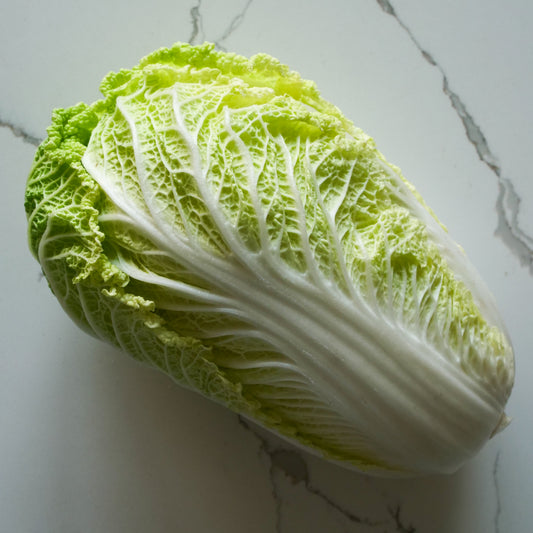Cabbage - Napa