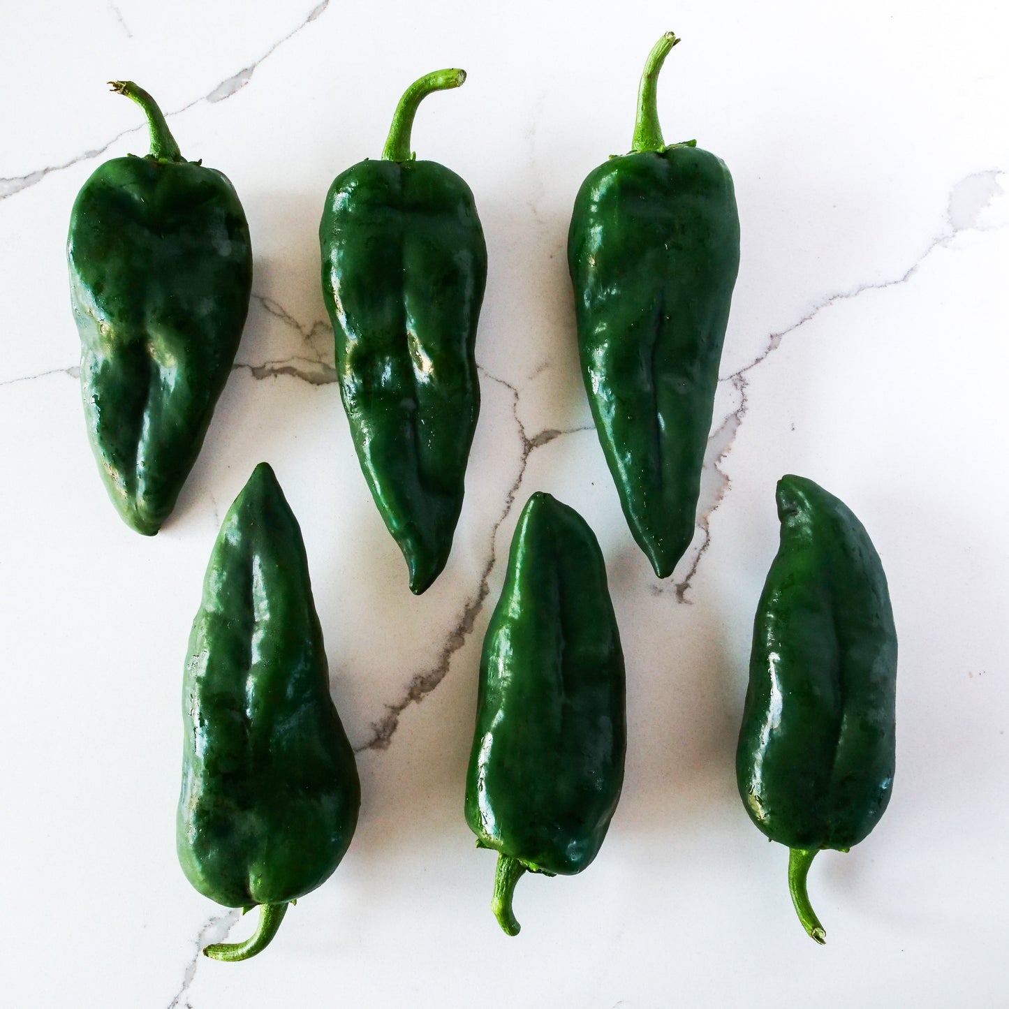 Pepper - Poblano