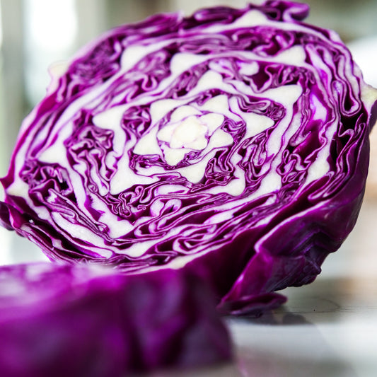 Cabbage - Red