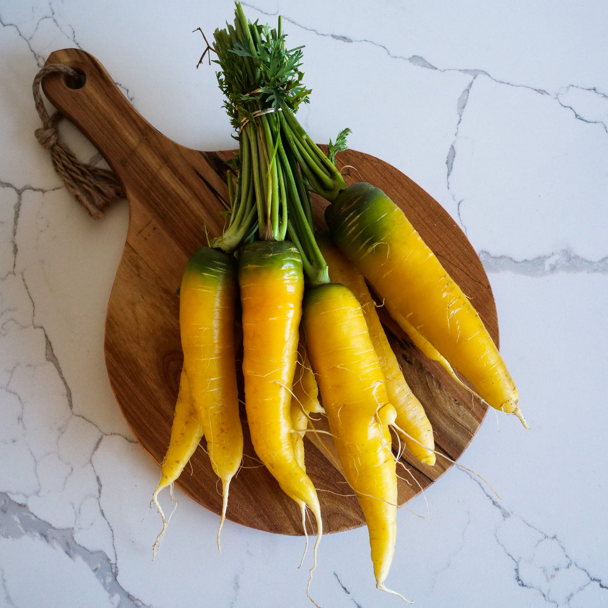 Carrot - Gold Nugget