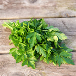 Herb - Parsley