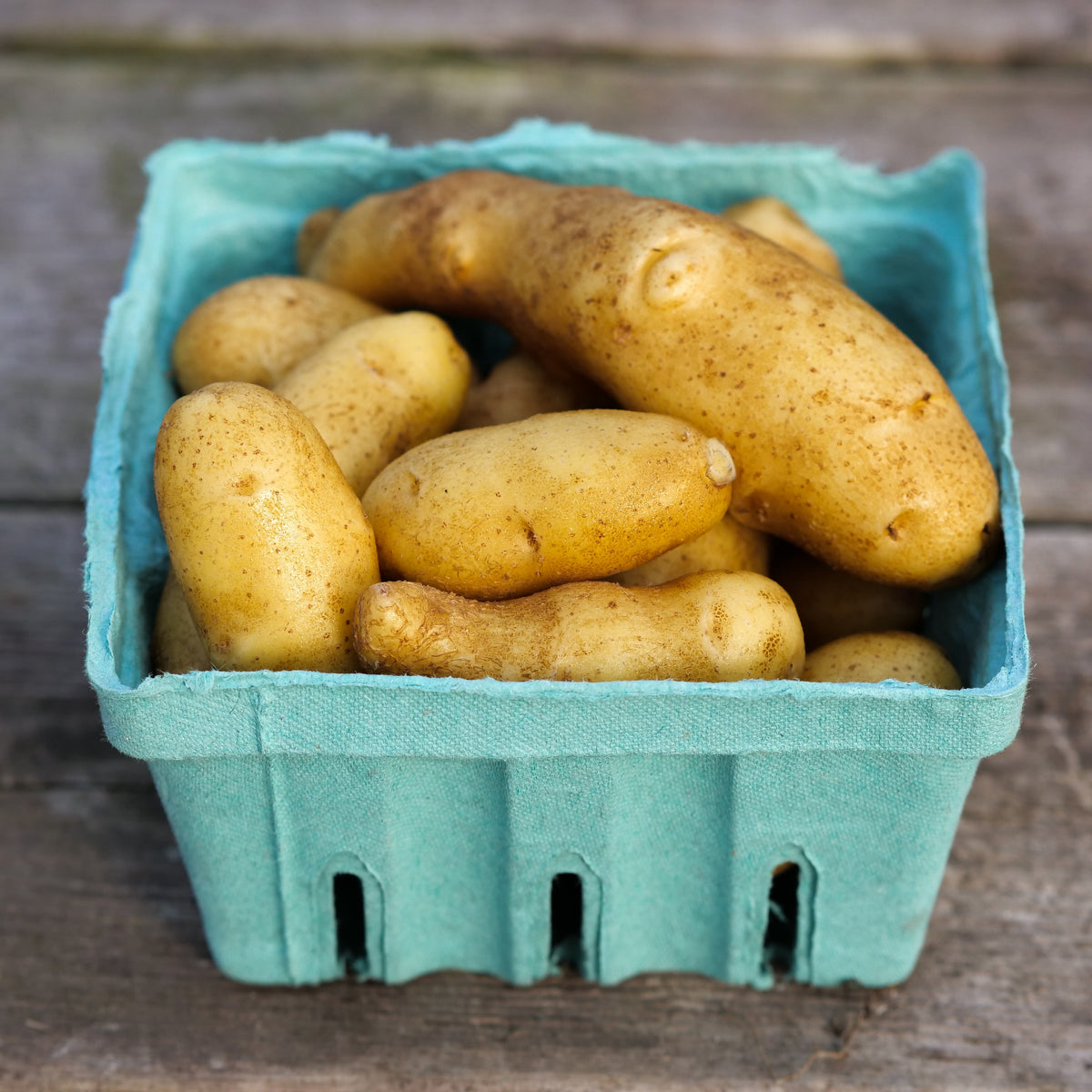 Potato - Austrian Crescent