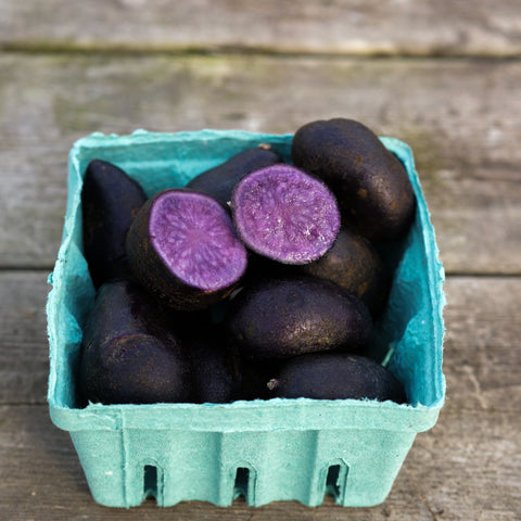 Potato - Purple Majesty