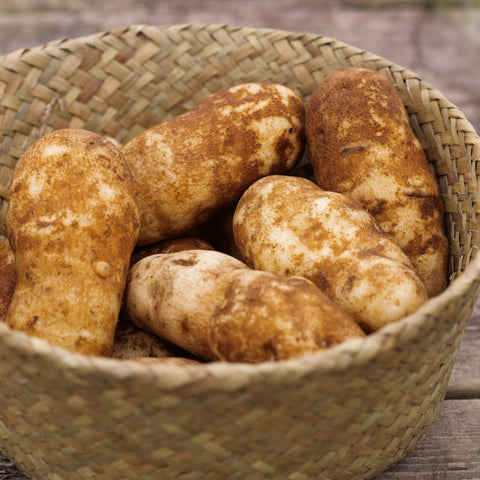 Potatoes - Russet
