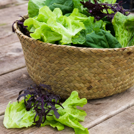 Salad Mix