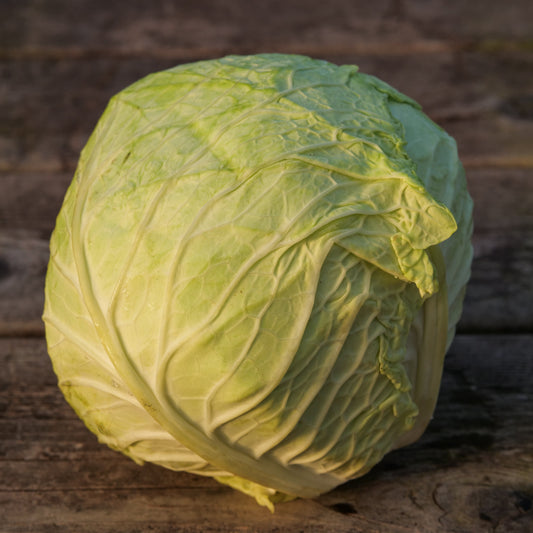 Cabbage - Savoy