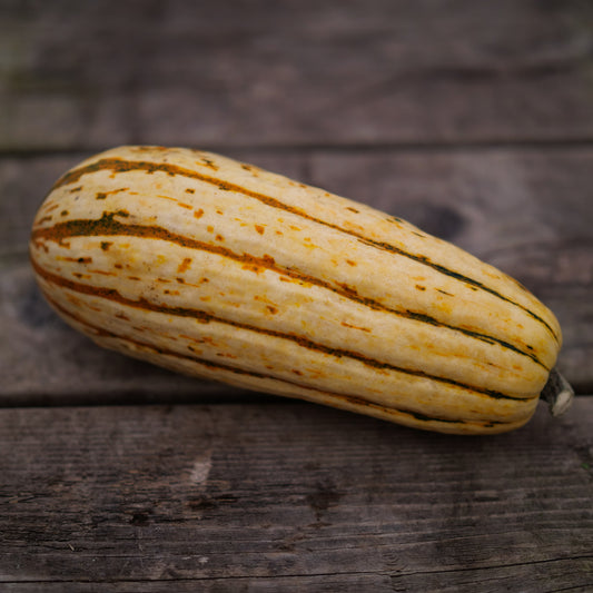 Squash - Delicata