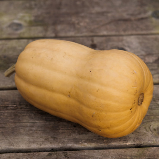 Squash - Butternut